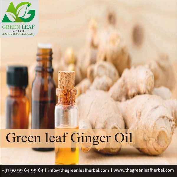 Ginger Oil