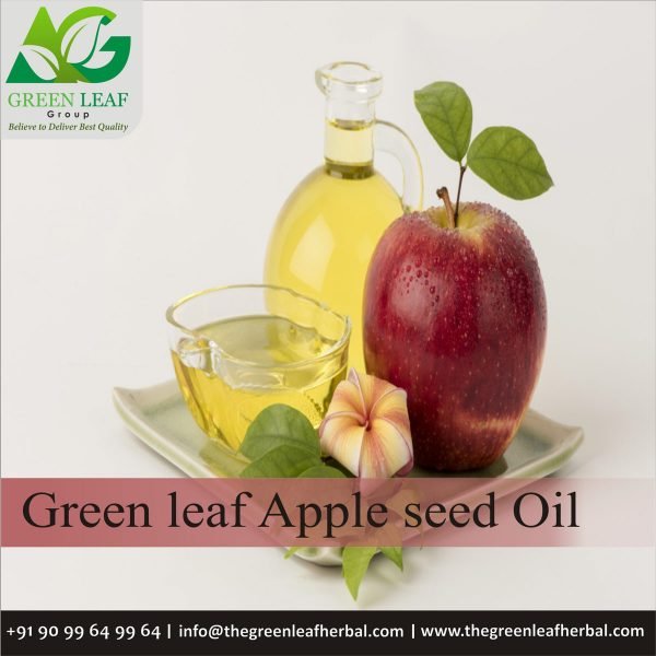 Apple Seed  Oil