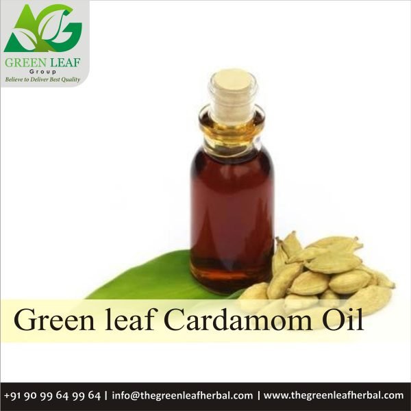 Cardamom Oil