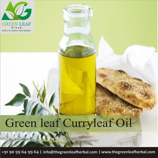 Curryleaf Oil