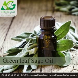 Sage Oil