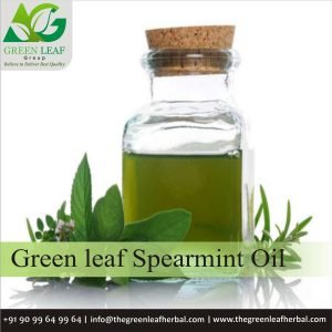 Spearmint  Oil