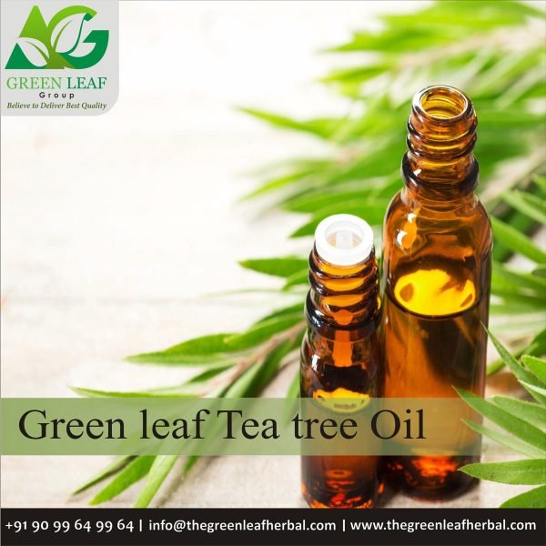 Tea Tree Oil
