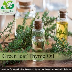 Thyme Oil