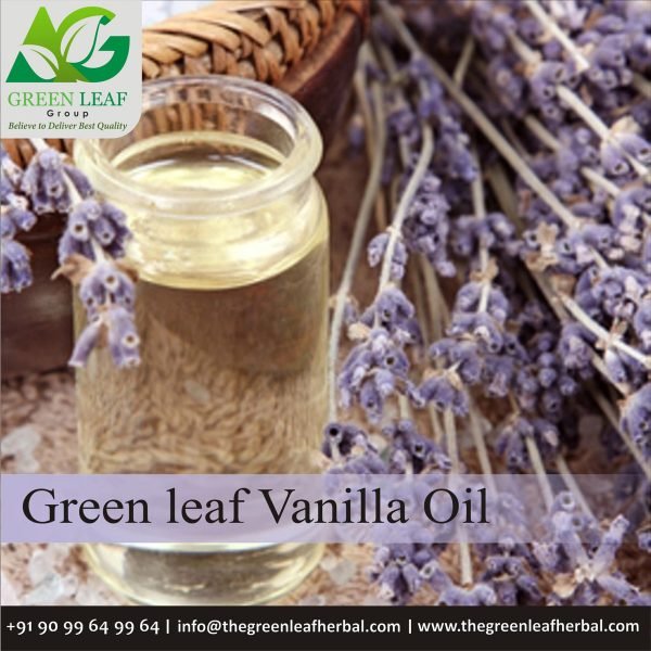Vanilla Oil